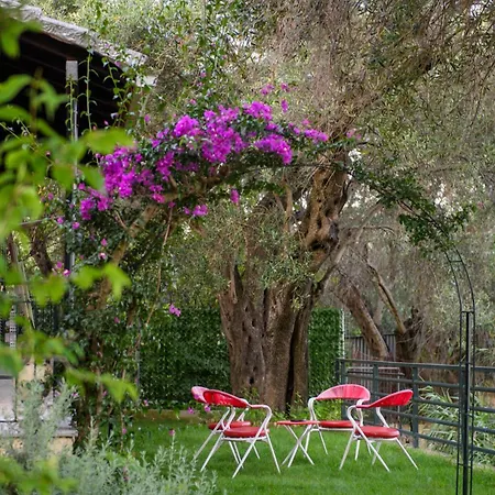 Case de vacanță Mon Reve House